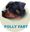 Polly Fart Wa Von Rottssel